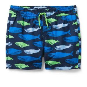 Whale Swim Trunk - Janie and Jack Size 2T